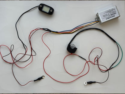 Plug and Play Rock Light