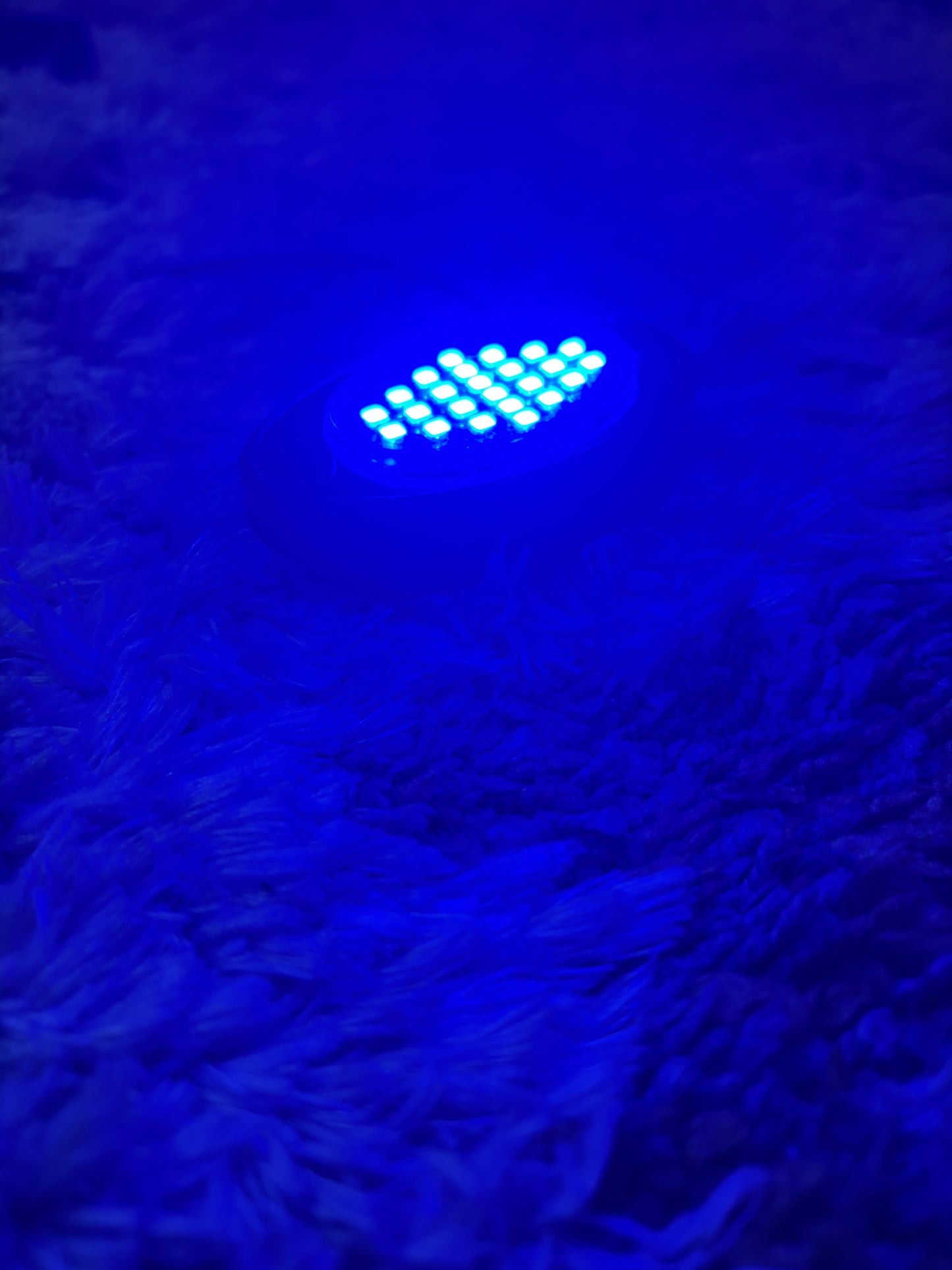 Plug and Play Rock Light
