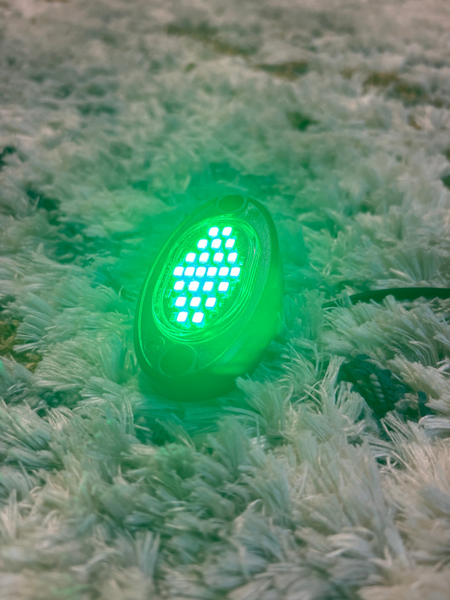 Plug and Play Rock Light